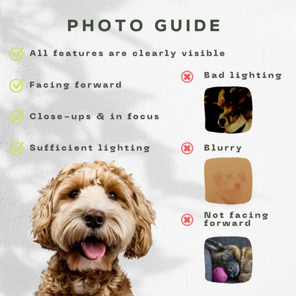 Personalized Pet Blanket - Gift for Pet Owners