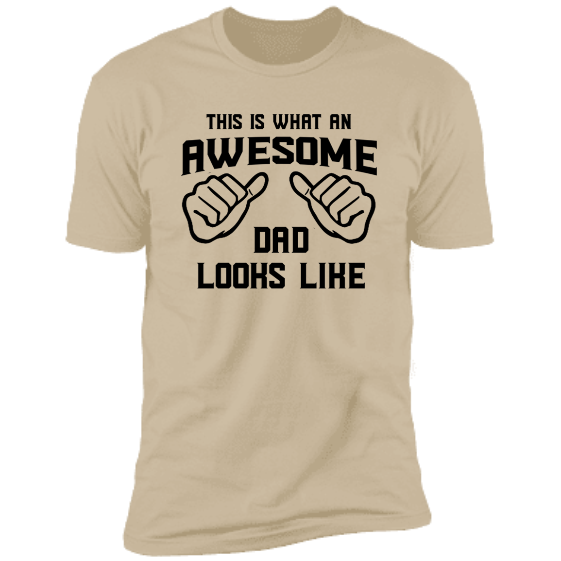 This is What an Awesome Dad T-Shirt
