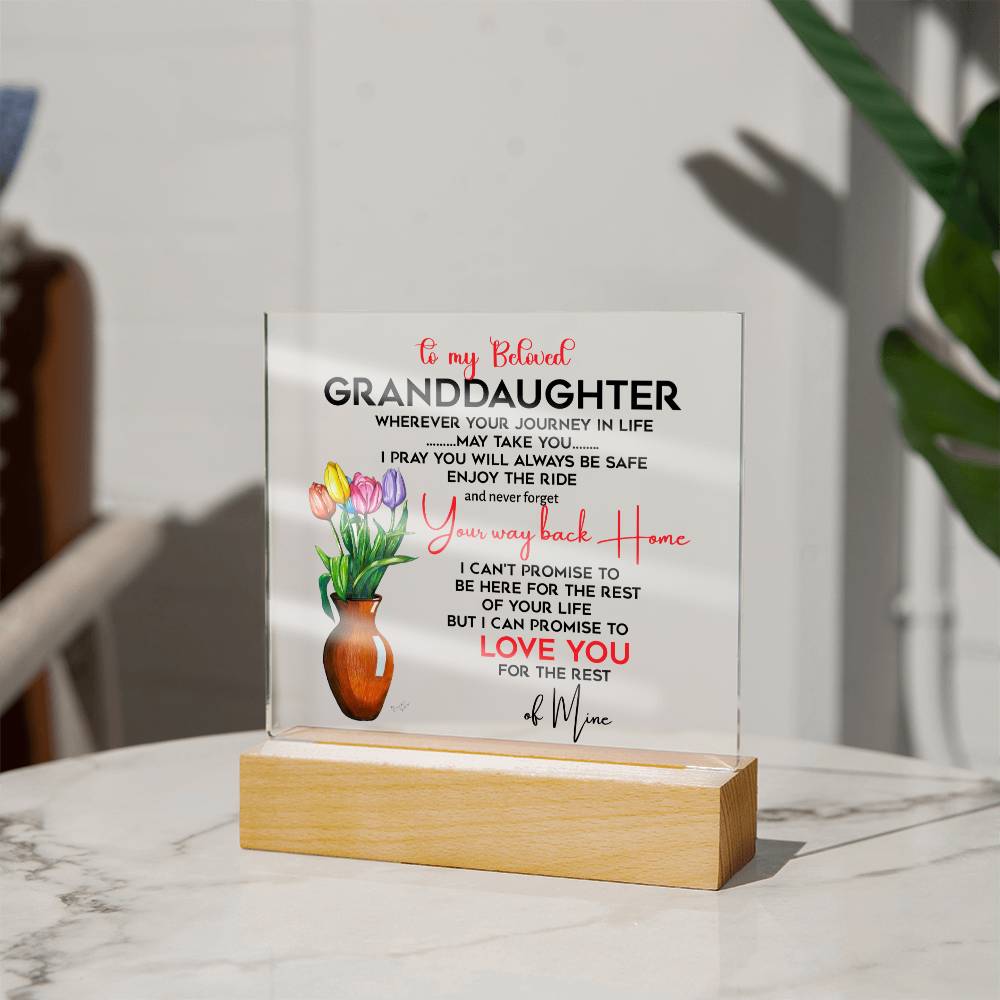 To My Beloved Granddaughter | I Pray You Will Always Be Safe to My Beloved | Acrylic Square Plaque