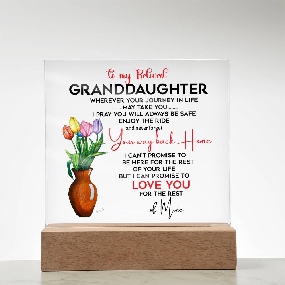 To My Beloved Granddaughter | I Pray You Will Always Be Safe to My Beloved | Acrylic Square Plaque