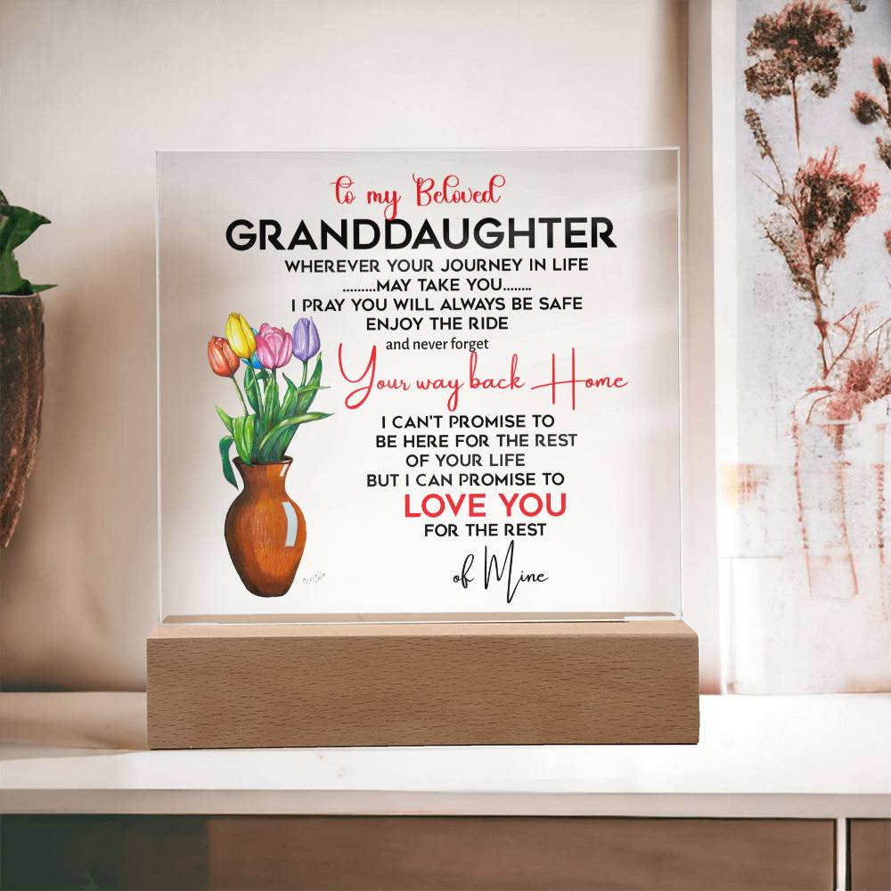 To My Beloved Granddaughter | I Pray You Will Always Be Safe to My Beloved | Acrylic Square Plaque