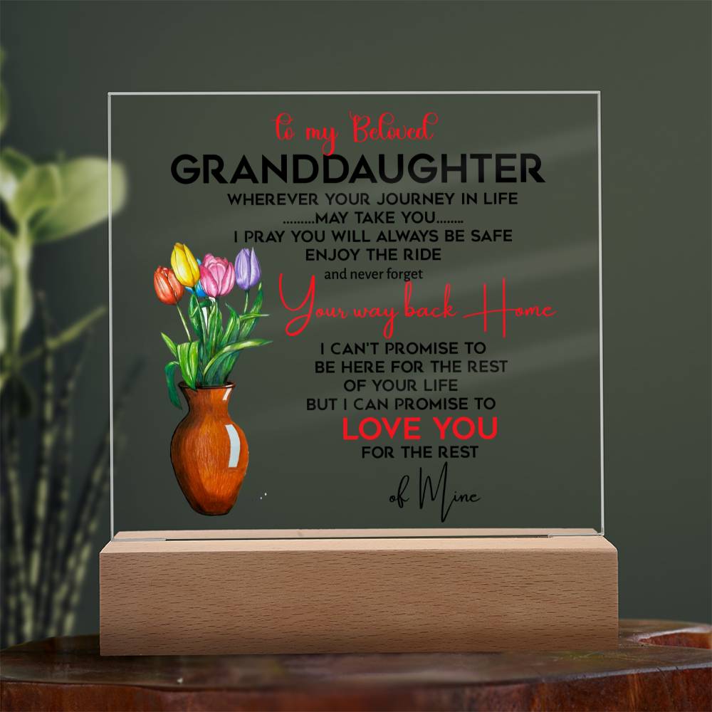 To My Beloved Granddaughter | I Pray You Will Always Be Safe to My Beloved | Acrylic Square Plaque