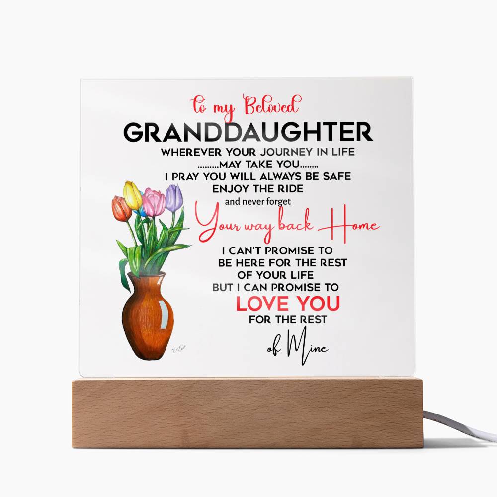 To My Beloved Granddaughter | I Pray You Will Always Be Safe to My Beloved | Acrylic Square Plaque