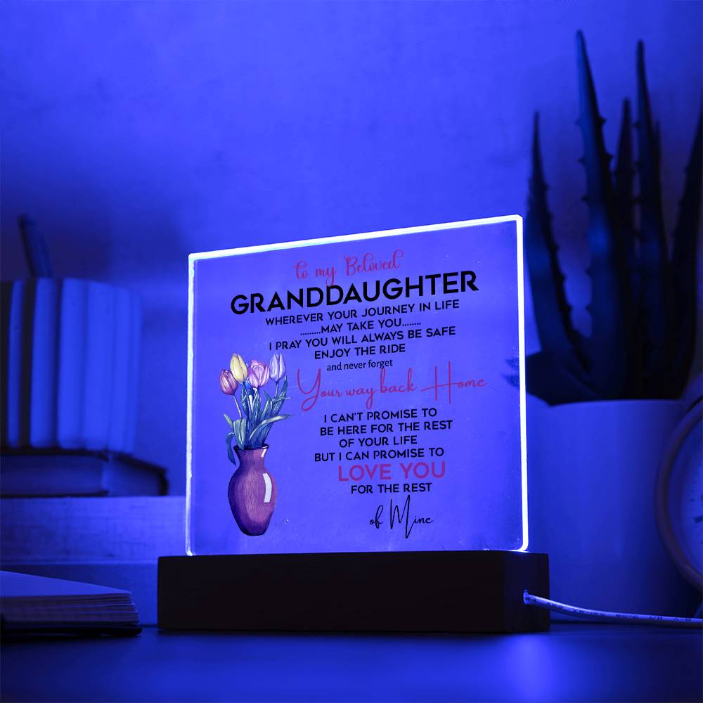 To My Beloved Granddaughter | I Pray You Will Always Be Safe to My Beloved | Acrylic Square Plaque