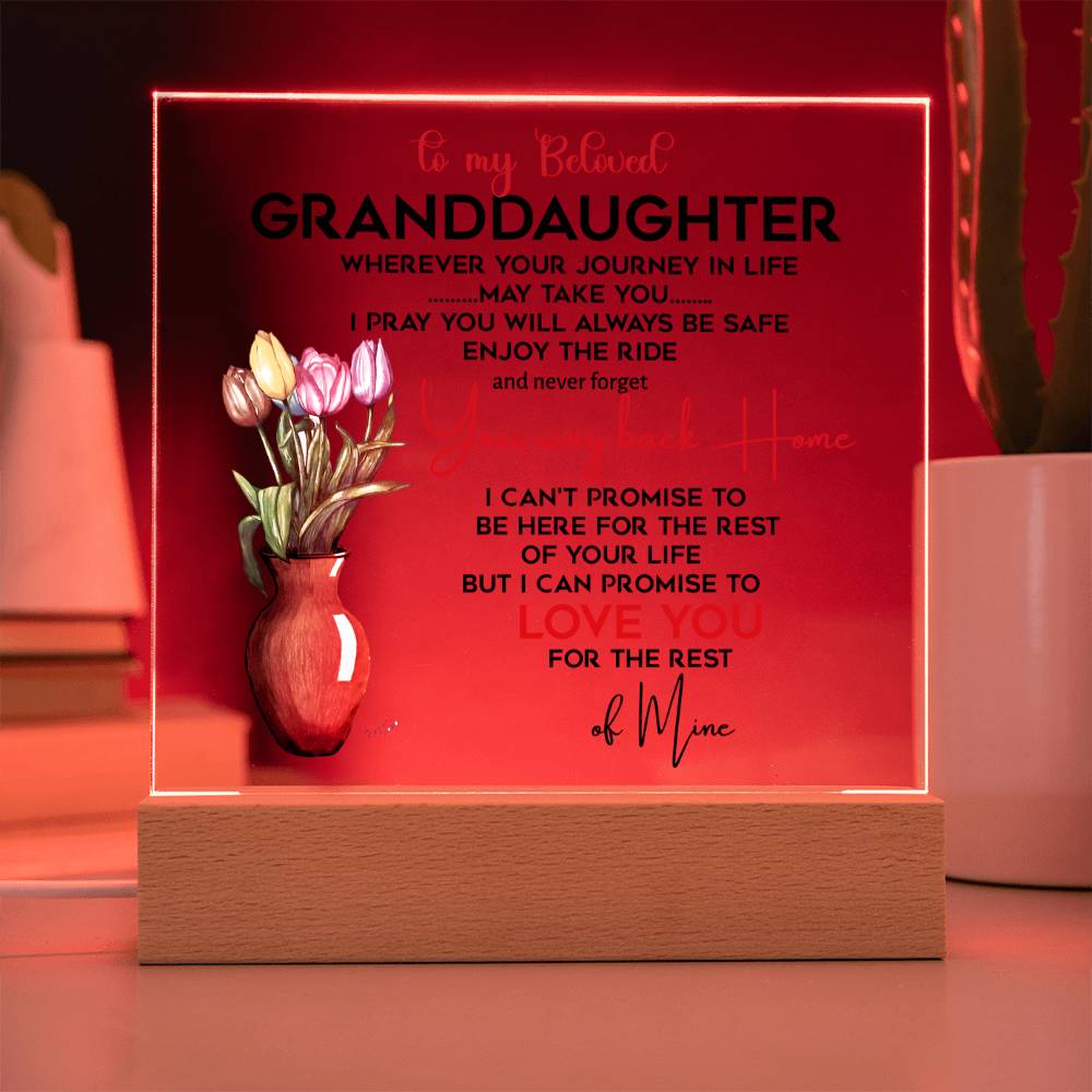 To My Beloved Granddaughter | I Pray You Will Always Be Safe to My Beloved | Acrylic Square Plaque