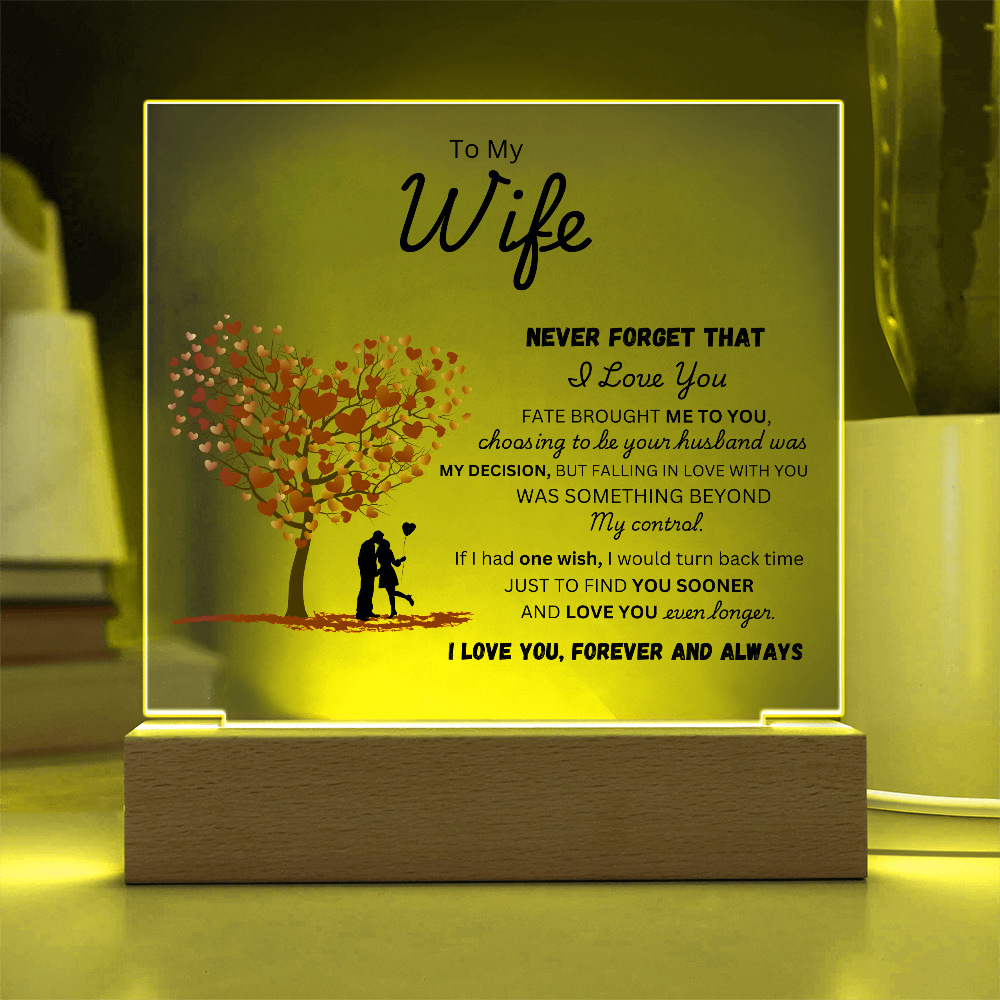 To My Wife - Find You Sooner - Acrylic Plaque