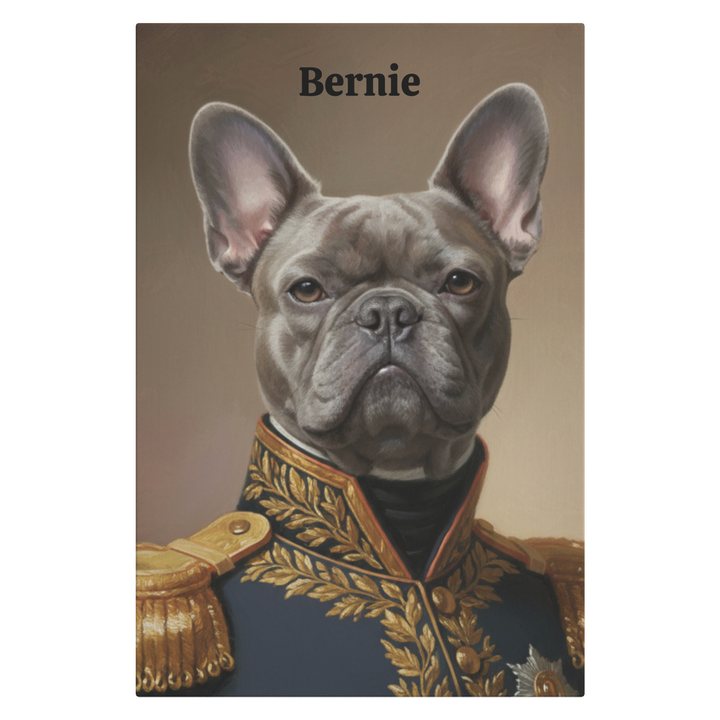 Personalized pet Portrait