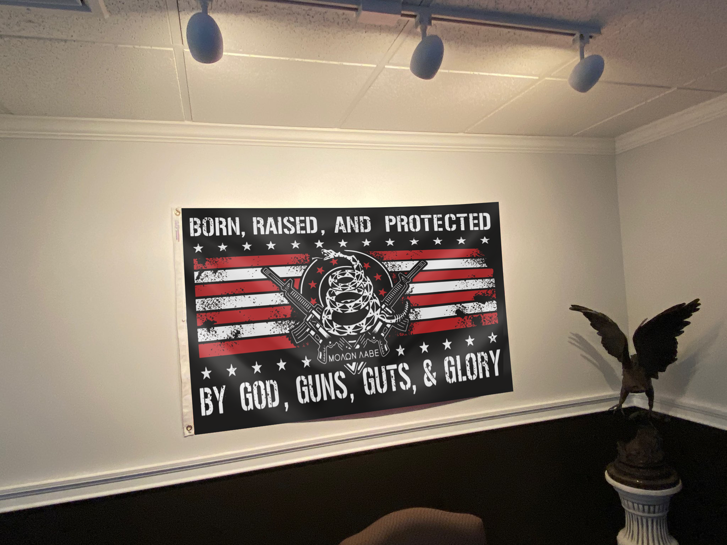 Born Raised And Protected By God Guns Guts And Glory Flag (WWG2)