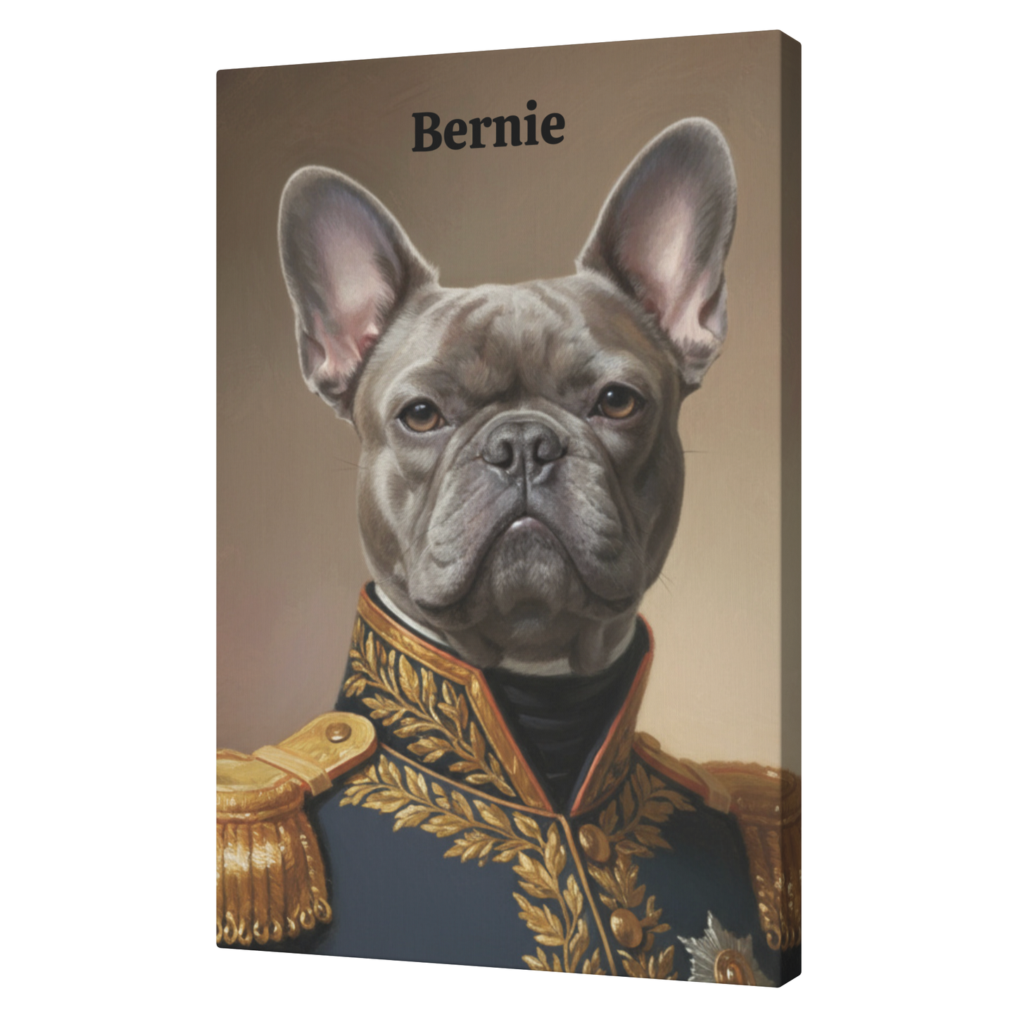 Personalized pet Portrait