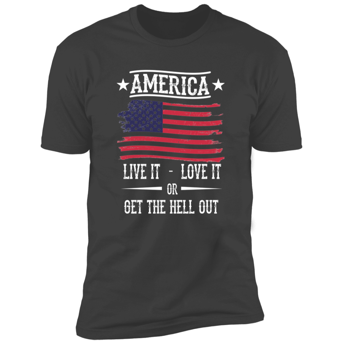 America - Live It Love it T-Shirt