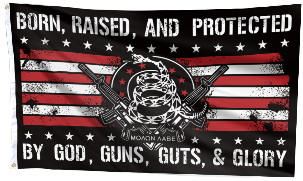 Born Raised And Protected By God Guns Guts And Glory Flag (WWG2)