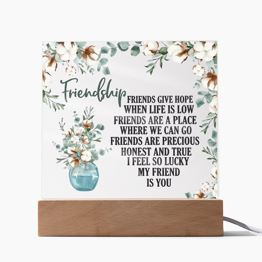 Friendship Acrylic Plaque - Gift For Friend - Galentines Day Gift
