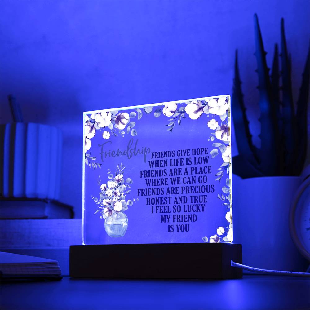 Friendship Acrylic Plaque - Gift For Friend - Galentines Day Gift