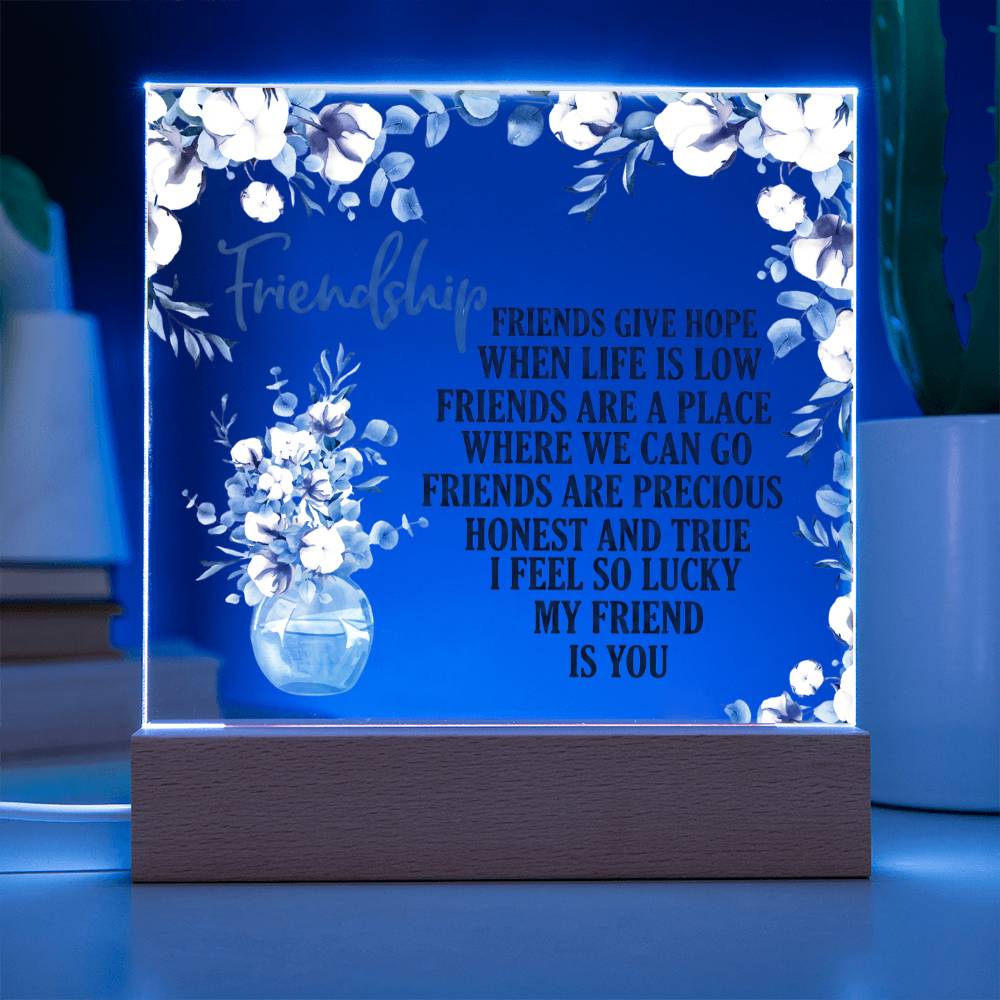 Friendship Acrylic Plaque - Gift For Friend - Galentines Day Gift