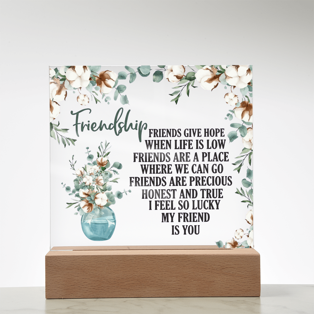 Friendship Acrylic Plaque - Gift For Friend - Galentines Day Gift