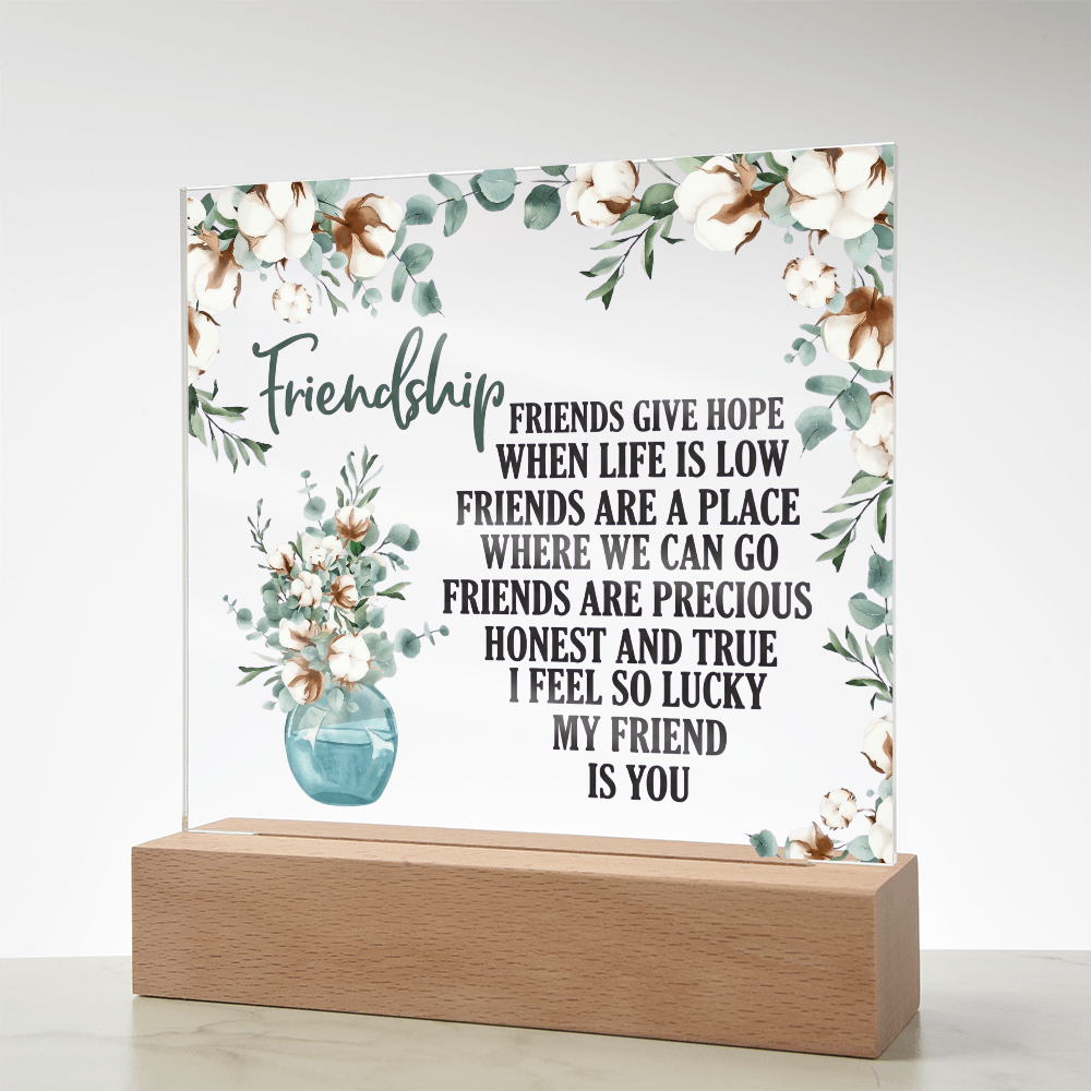 Friendship Acrylic Plaque - Gift For Friend - Galentines Day Gift