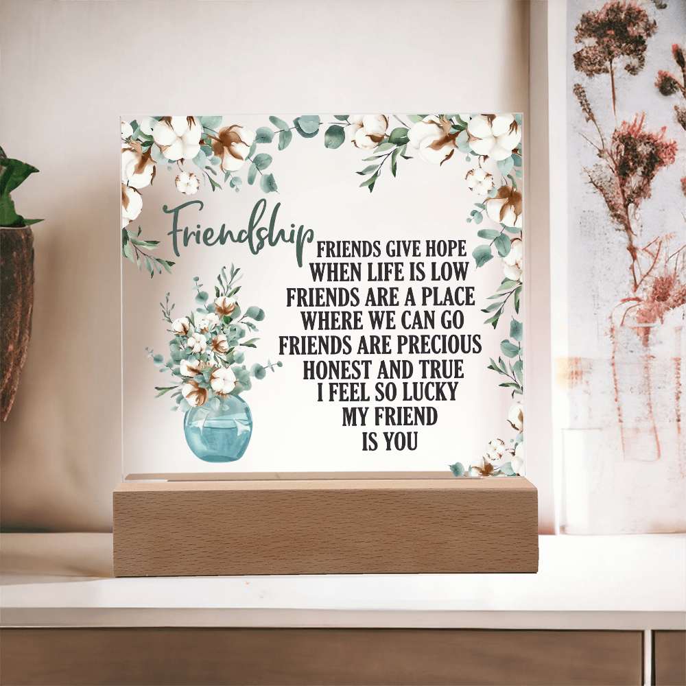 Friendship Acrylic Plaque - Gift For Friend - Galentines Day Gift